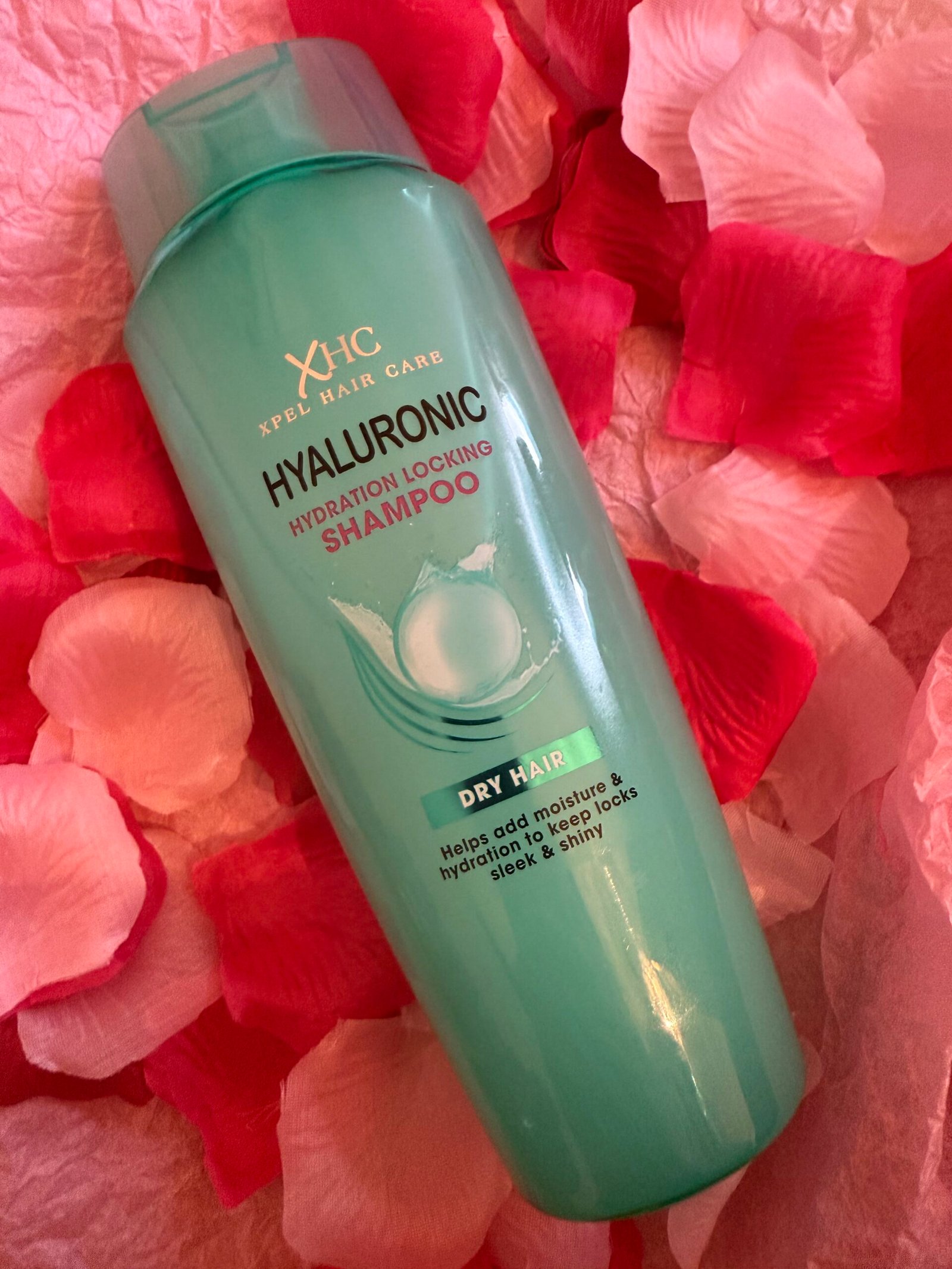 auto draft auto draft