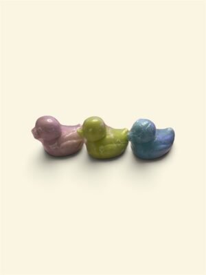 Savon solide canard 70G